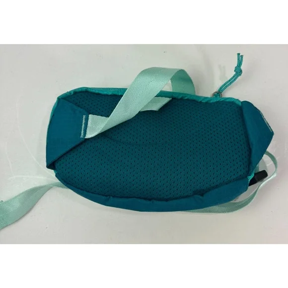 Patagonia Ultralight Black Hole Mini Waist Teal Blue Belt Bag Fanny Pack One Sz - Picture 7 of 8